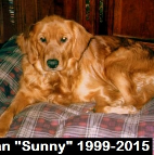 Megan -Sunny- Sammarco. 1999-2015